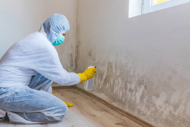 Mold Remediation specialist working in Wilmington
